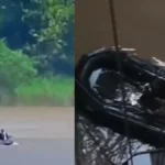 हथिनी कुंड बैराज हादसा: यमुना में लापता 2 जवानों के शव बरामद, सहारनपुर में मिला एक शव