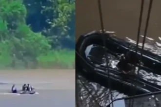 हथिनी कुंड बैराज हादसा: यमुना में लापता 2 जवानों के शव बरामद, सहारनपुर में मिला एक शव