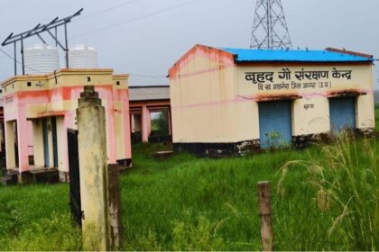 आगरा में 1.60 करोड़ की गोशाला में गायें नहीं, दो फीट घास; दो साल से बंद पड़ा दरवाजा