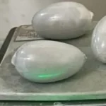 IGI एयरपोर्ट पर बांग्लादेशी यात्री गिरफ्तार, अंडरगारमेंट में छिपाकर ला रहा था 1.88 करोड़ का सोना