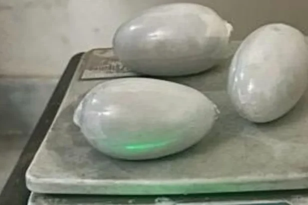 IGI एयरपोर्ट पर बांग्लादेशी यात्री गिरफ्तार, अंडरगारमेंट में छिपाकर ला रहा था 1.88 करोड़ का सोना