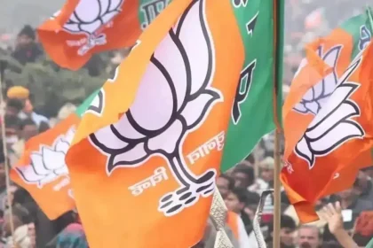 BJP's master plan for Delhi assembly elections