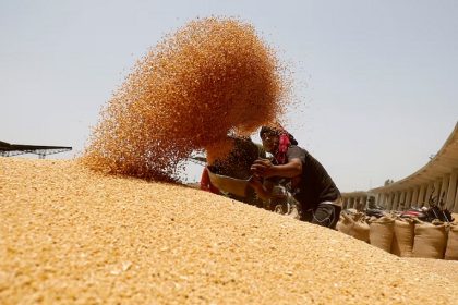 Government took steps to prevent wheat prices from rising