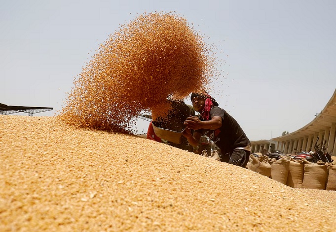 Government took steps to prevent wheat prices from rising