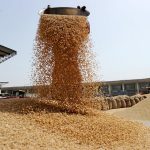 Center will sell wheat to control the price