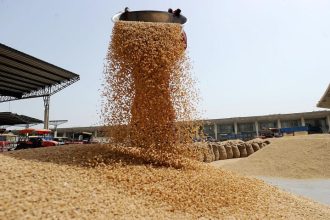 Center will sell wheat to control the price