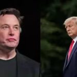 Elon Musk's reaction to Donald Trump's proposal