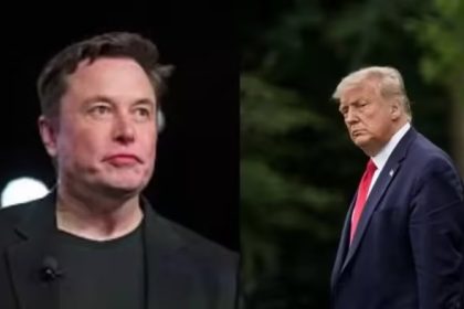 Elon Musk's reaction to Donald Trump's proposal