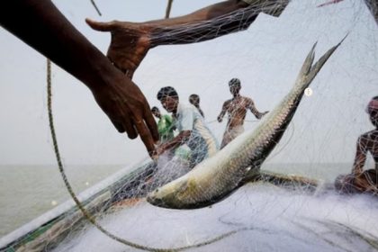 Hilsa Fish Export Ban