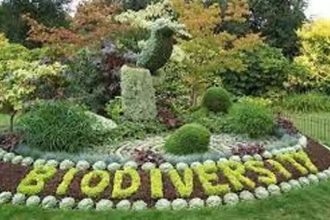 LDA will build a biodiversity park in Lucknow