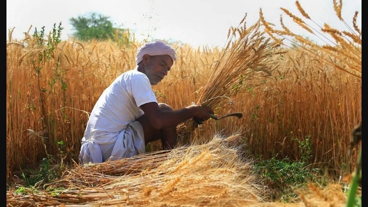 Farmers will become rich