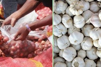 onion garlic Price Hike