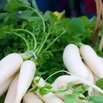 Health Benefits of Radish Leaves