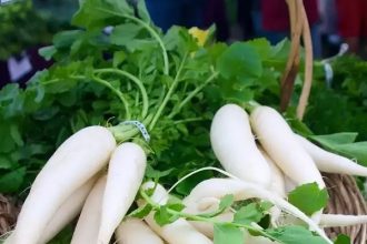 Health Benefits of Radish Leaves