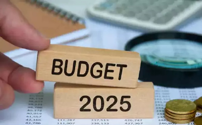 Central government will present a new income tax bill in the budget session