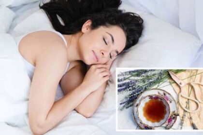 Herbal Drinks for Sleep