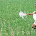 Modi government's gift to farmers on new year