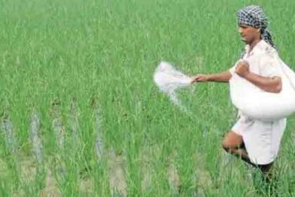 Modi government's gift to farmers on new year