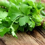 green coriander