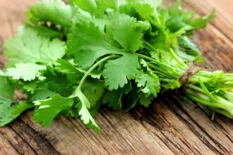 green coriander