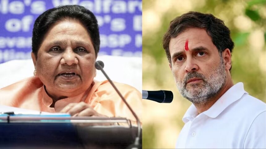 Mayawati hits back at Rahul