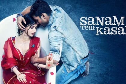 Sanam Teri Kasam Re-Release Collection