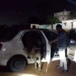तेज-रफ्तार-कार-के-अंदर-बैठा-था-सांड,-जब-पुलिस-ने-रोका-तो-फटी-रह-गईं-आंखें