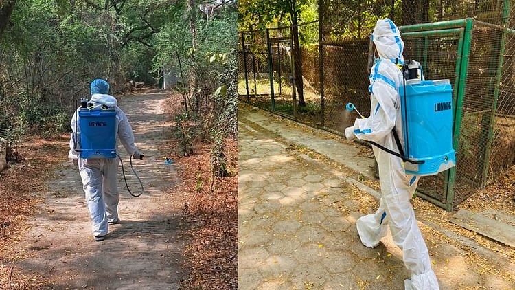 bird-flu:-कानपुर-चिड़ियाघर-में-बब्बर-शेर,-मोर-के-बाद-ब्राह्मी-डक-पक्षी-की-हुई-मौत,-बाड़े-को-कराया-गया-सैन