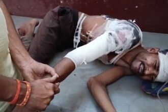lakhimpur-kheri:-खेत-में-चारा-काटने-गए-पिता-पुत्र-पर-बाघ-ने-किया-हमला,-दोनों-गंभीर-घायल,-इलाके-में-दहशत