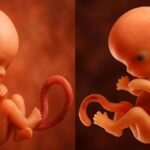 दुनिया-का-सबसे-उम्रदराज-शिशु,-30-साल-पुराने-भ्रूण-से-हुआ-पैदा,-जानिए-कैसे-हुआ-ये-संभव