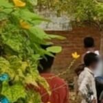 up:-दस-साल-पहले-किशोरी-की-मां-से-अफेयर…अब-चचेरी-बहन-से-दरिंदगी-कर-कत्ल;-नाबालिग-के-हाथ-और-नाखून-में-मिले-बाल