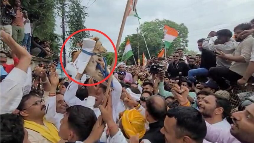 mp:-कांग्रेसियों-ने-छिंदवाड़ा-में-अनोखे-अंदाज-में-जताया-विरोध,-कलेक्टर-नहीं-मिले-तो-कुत्ते-के-गले-में-बांधा-ज्ञापन