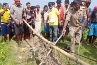 mirzapur-news:-घर-के-बाहर-सात-फीट-लंबा-मगरमच्छ-देख-चीख-पड़ी-महिला,-कड़ी-मशक्कत-के-बाद-जलाशय-में-छोड़ा