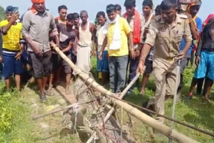 mirzapur-news:-घर-के-बाहर-सात-फीट-लंबा-मगरमच्छ-देख-चीख-पड़ी-महिला,-कड़ी-मशक्कत-के-बाद-जलाशय-में-छोड़ा