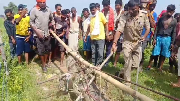mirzapur-news:-घर-के-बाहर-सात-फीट-लंबा-मगरमच्छ-देख-चीख-पड़ी-महिला,-कड़ी-मशक्कत-के-बाद-जलाशय-में-छोड़ा