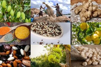 इन-चीजों-के-उत्पादन-में-दुनिया-में-नंबर-1-है-भारत,-दूसरा-कोई-देश-आस-पास-भी-नहीं