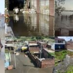 up:-मथुरा-वृंदावन-में-यमुना-ने-मचाई-तबाही…धराशायी-हुआ-घर,-आठ-भैंसों-की-मौत;-12वीं-तक-के-सभी-स्कूल-बंद