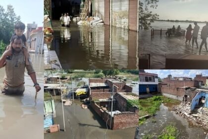 up:-मथुरा-वृंदावन-में-यमुना-ने-मचाई-तबाही…धराशायी-हुआ-घर,-आठ-भैंसों-की-मौत;-12वीं-तक-के-सभी-स्कूल-बंद