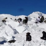 लद्दाख:-सियाचिन-ग्लेशियर-में-भीषण-हिमस्खलन-में-तीन-सैनिक-शहीद,-राहत-बचाव-कार्य-जारी