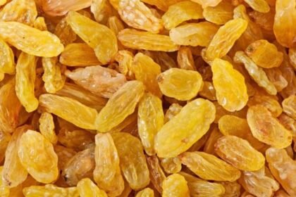 मेवा-बाजार:-gst-12-से-घटकर-हुई-5%,-फिर-भी-आसमान-पर-किशमिश-और-नारियल-गोले-के-दाम;-नवरात्र-तक-राहत-के-आसार-नहीं