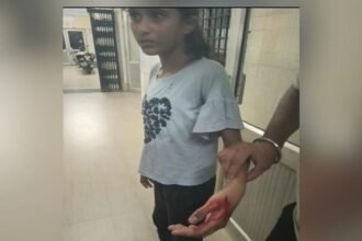 meerut:-भाजपा-नेता-की-दस-साल-की-बेटी-पर-कुत्तों-के-झुंड-का-हमला,-मासूम-का-हुआ-ये-हाल,-दिल्ली-करना-पड़ा-रेफर