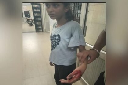 meerut:-भाजपा-नेता-की-दस-साल-की-बेटी-पर-कुत्तों-के-झुंड-का-हमला,-मासूम-का-हुआ-ये-हाल,-दिल्ली-करना-पड़ा-रेफर