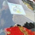 up-news:-सोनभद्र-में-चार-विधायक,-विधानसभा-पास-लगाकर-चल-रहे-20-से-ज्यादा-वाहन;-इनमें-एक-भी-विधायक-की-गाड़ी-नहीं
