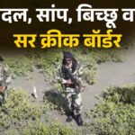 ‘इतिहास-भूगोल-बदल-देंगे’,-सांप-बिच्छू,-दलदल-से-भरे-सर-क्रीक-को-लेकर-भारत-ने-पाकिस्तान-को-क्यों-दी-चेतावनी?