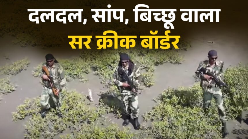 ‘इतिहास-भूगोल-बदल-देंगे’,-सांप-बिच्छू,-दलदल-से-भरे-सर-क्रीक-को-लेकर-भारत-ने-पाकिस्तान-को-क्यों-दी-चेतावनी?