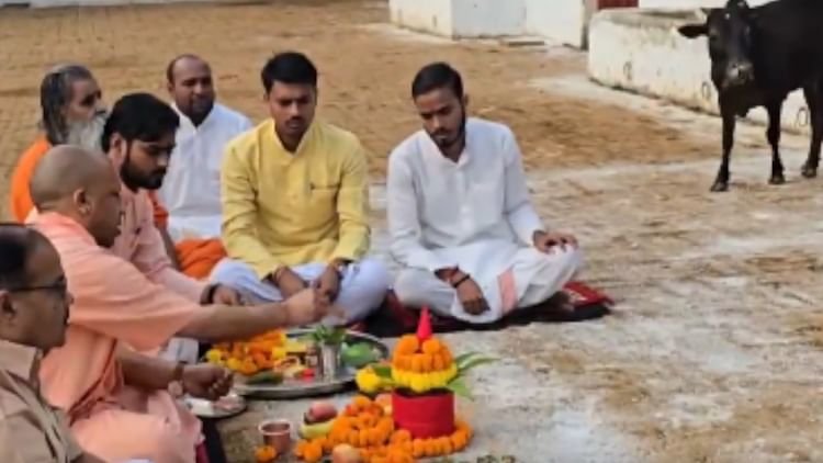 govardhan-puja:-सीएम-योगी-ने-की-गोरखनाथ-मंदिर-में-गोवर्धन-पूजा,-गायों-को-खिलाया-गुड़-चना;-कही-ये-बात