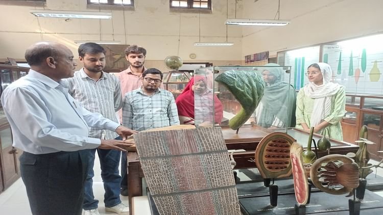 एएमयू-वनस्पति-विभाग-संग्रहालय:-हजारों-साल-पुराने-पेड़ों-के-जीवाश्म,-जड़-तना-और-फूल-फल,-और-भी-है-बहुत-कुछ