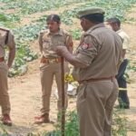up:-सरसों-के-खेत-में-मिला-युवक-का-कंकाल…आसपास-बिखरीं-थीं-हड्डियां,-दृश्य-देख-कांप-गए-लोग