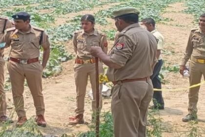 up:-सरसों-के-खेत-में-मिला-युवक-का-कंकाल…आसपास-बिखरीं-थीं-हड्डियां,-दृश्य-देख-कांप-गए-लोग