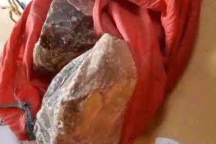 महाराष्ट्र:-बीड-से-व्हेल-मछली-की-उल्टी-बरामद,-करीब-1.5-करोड़-रुपए-है-कीमत,-2-लोग-गिरफ्तार